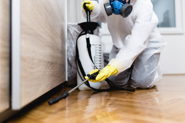 Professional Pest Control in Niverville, NY