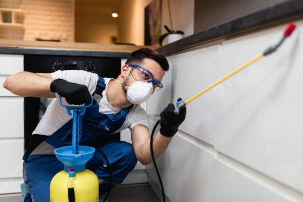 Best Pest Removal Services  in Niverville, NY