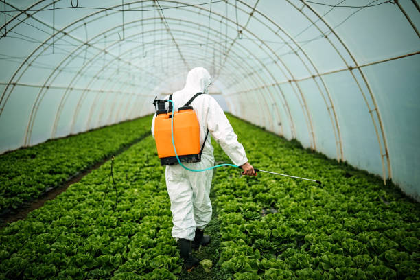 Best Pest Control Near Me  in Niverville, NY